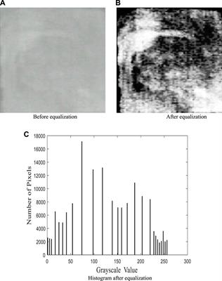 Detection of oil spills based on gray level co-occurrence matrix and support vector machine